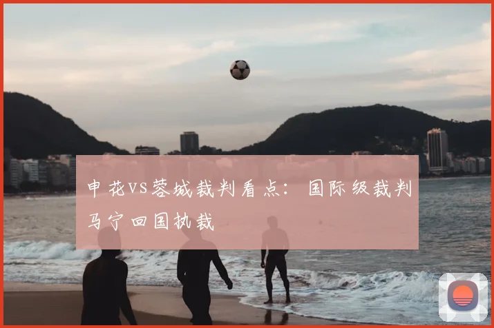 申花vs蓉城裁判看点：国际级裁判马宁回国执裁